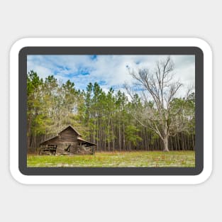 Abandoned Farm and Pecan Tree Sticker